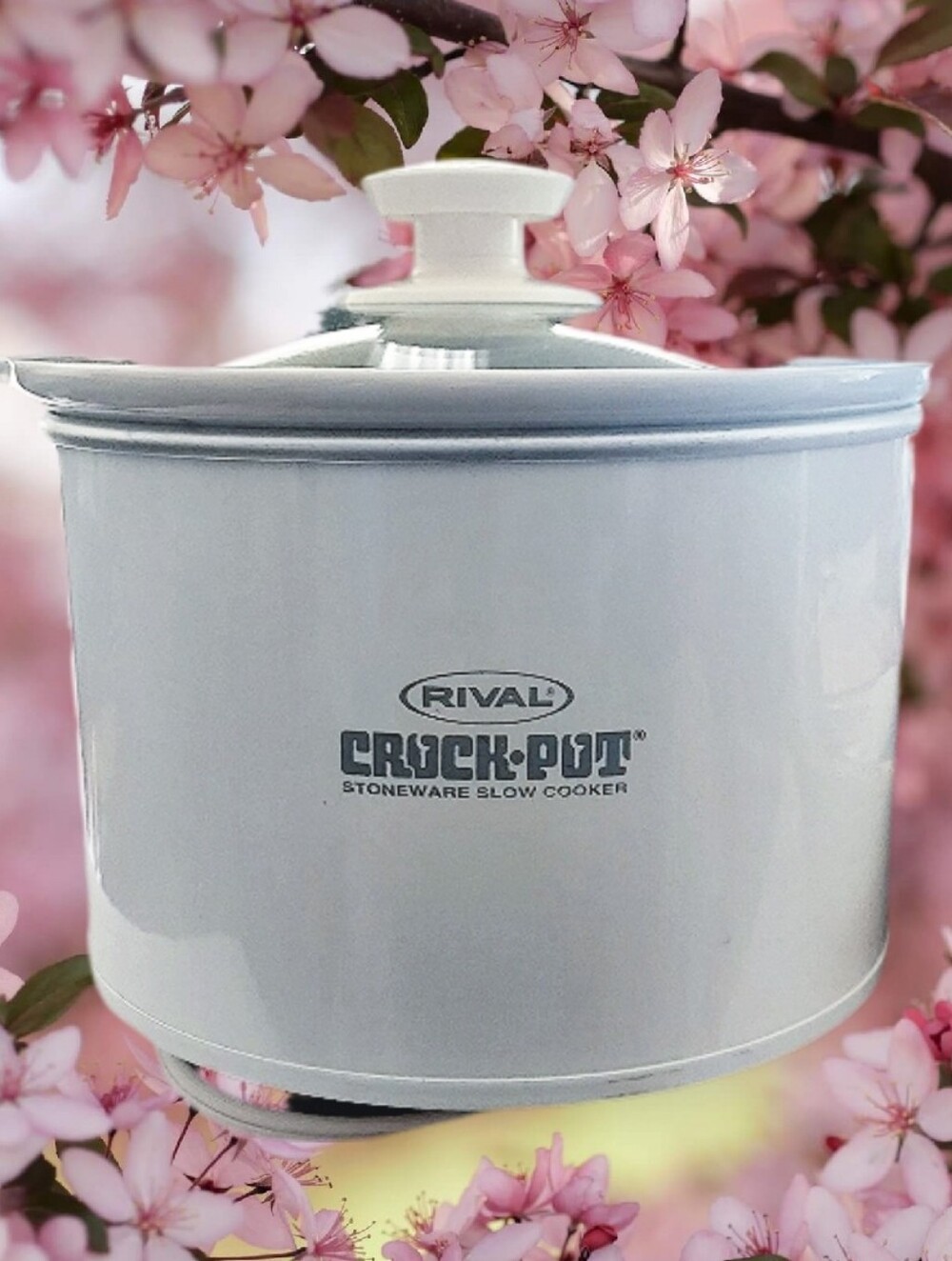 Rival Mini Crock Pot